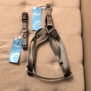 Gray Harness and Collar